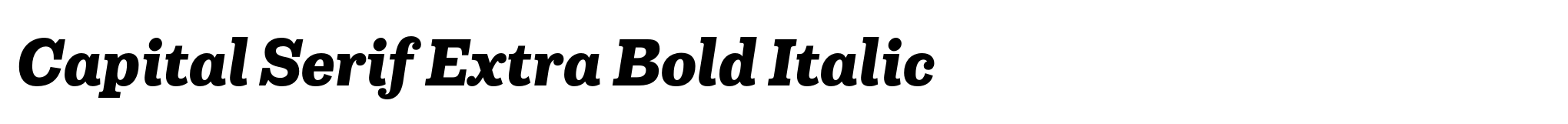 Capital Serif Extra Bold Italic image